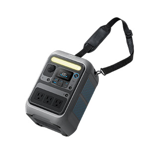 C300