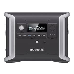 DBS1300